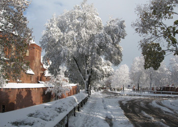 Мальборк 7 – фотографии Польши