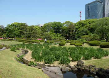Tokyo – фотографии Японии