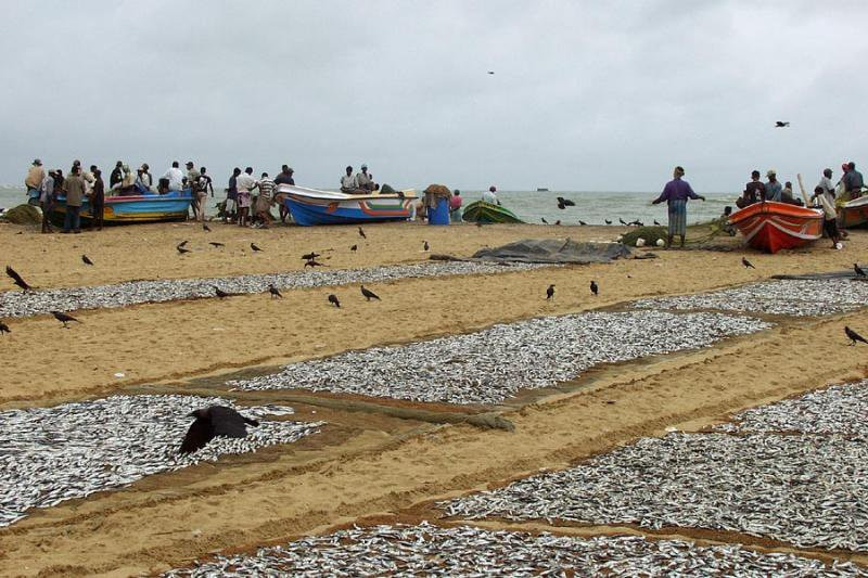 Негомбо, Шри-Ланка, фото № 51889 – фотографии Шри-Ланки
