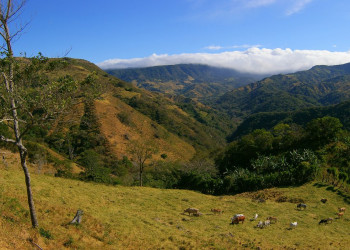 Монтеверде, Пунтаренас провинция, Коста-Рика, фото № 40727 – фотографии Коста-Рики