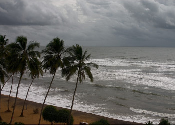 Калутара, Шри-Ланка, фото № 51204 – фотографии Шри-Ланки