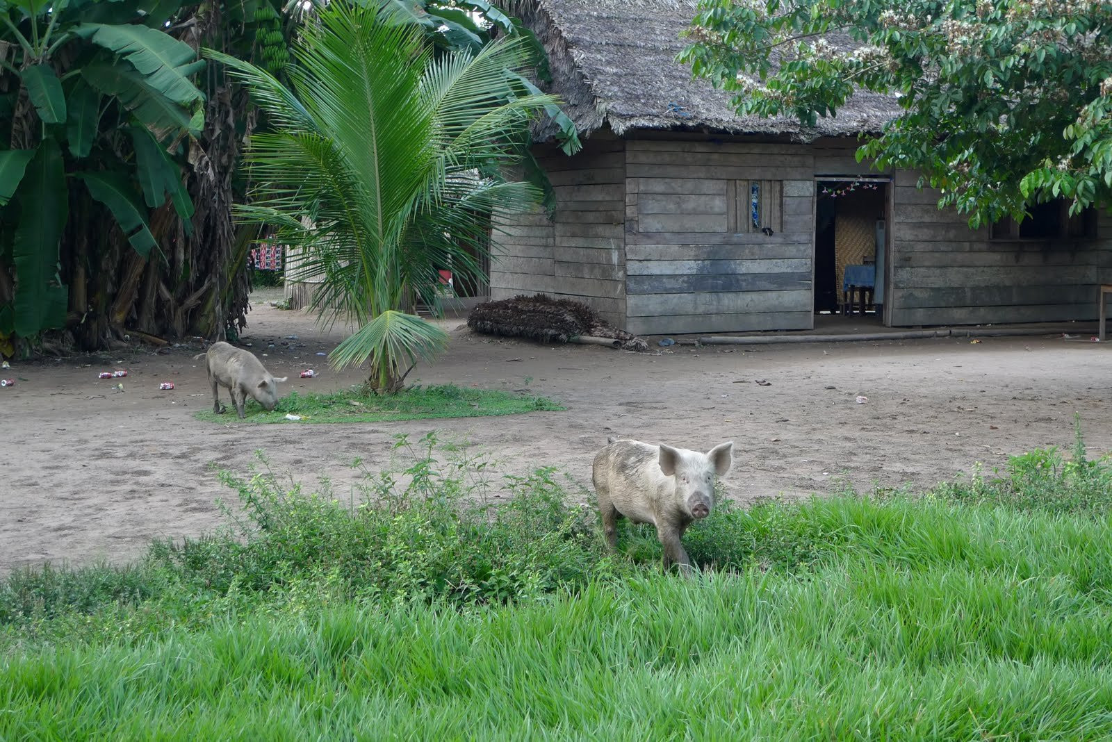 Боливия, фото № 2978 – фотографии Боливии