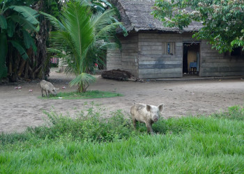 Боливия, фото № 2978 – фотографии Боливии