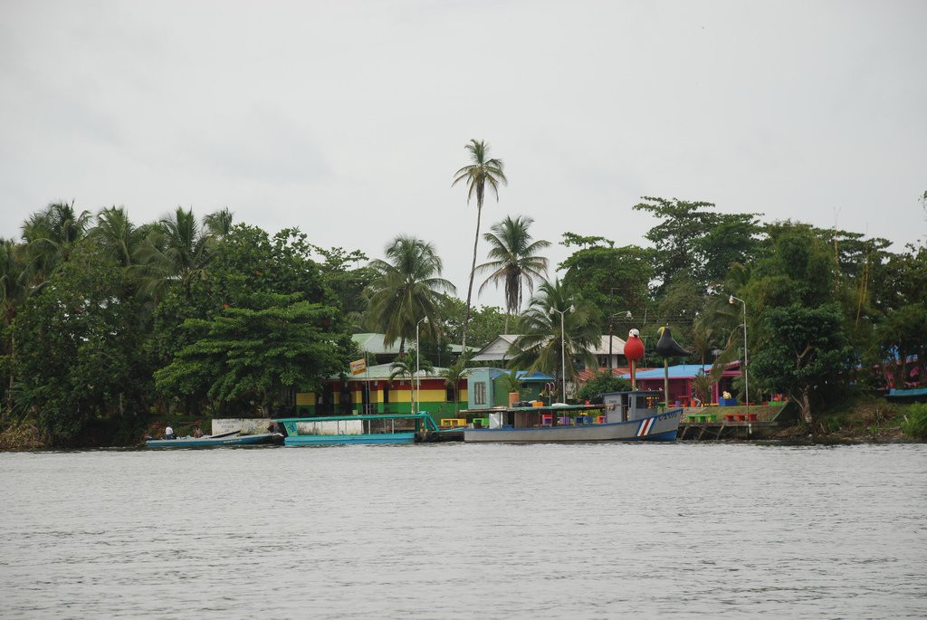 Тортугеро, Лимон провинция, Коста-Рика, фото № 40293 – фотографии Коста-Рики