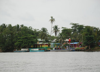 Тортугеро, Лимон провинция, Коста-Рика, фото № 40293 – фотографии Коста-Рики