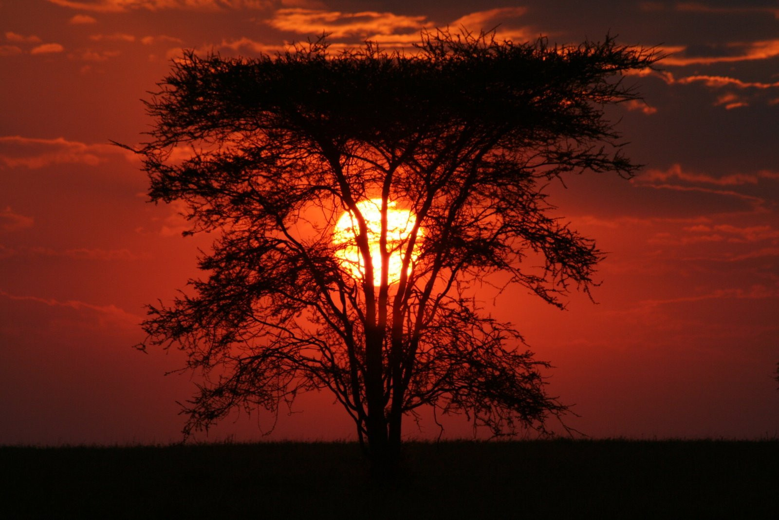 Закат в Танзании – фотографии Танзании