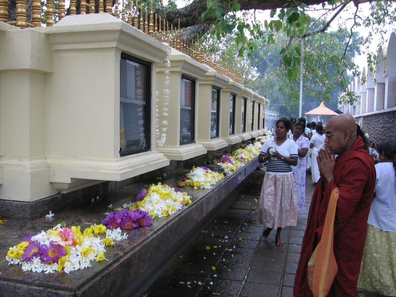 Калутара, Шри-Ланка, фото № 51231 – фотографии Шри-Ланки