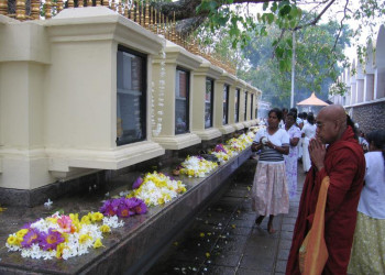 Калутара, Шри-Ланка, фото № 51231 – фотографии Шри-Ланки