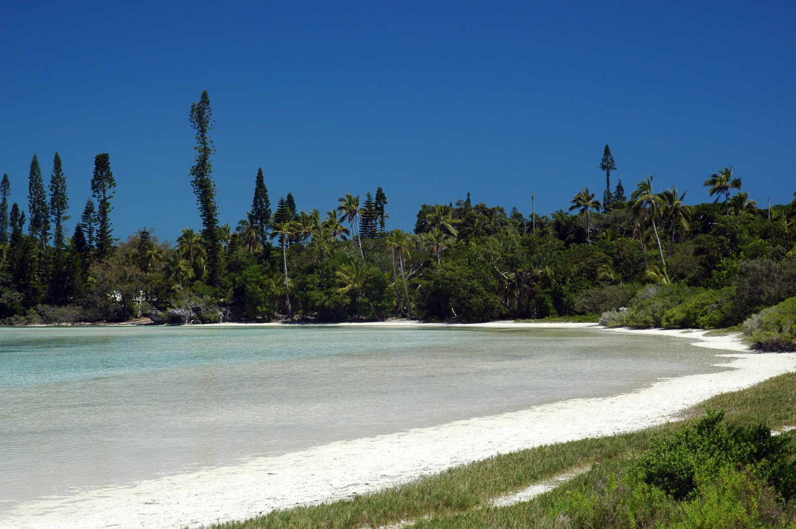 Остров Пен (Isle of Pines) в Новой Каледонии. Фото 16 – фотографии Новой Каледонии