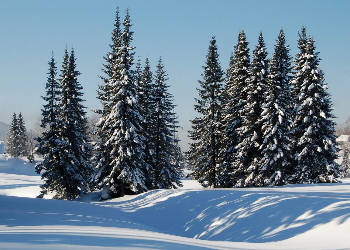 Природа в Шерегеш, Россия. Фото 1 – фотографии России