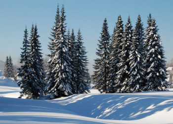 Природа в Шерегеш, Россия. Фото 1 – фотографии России