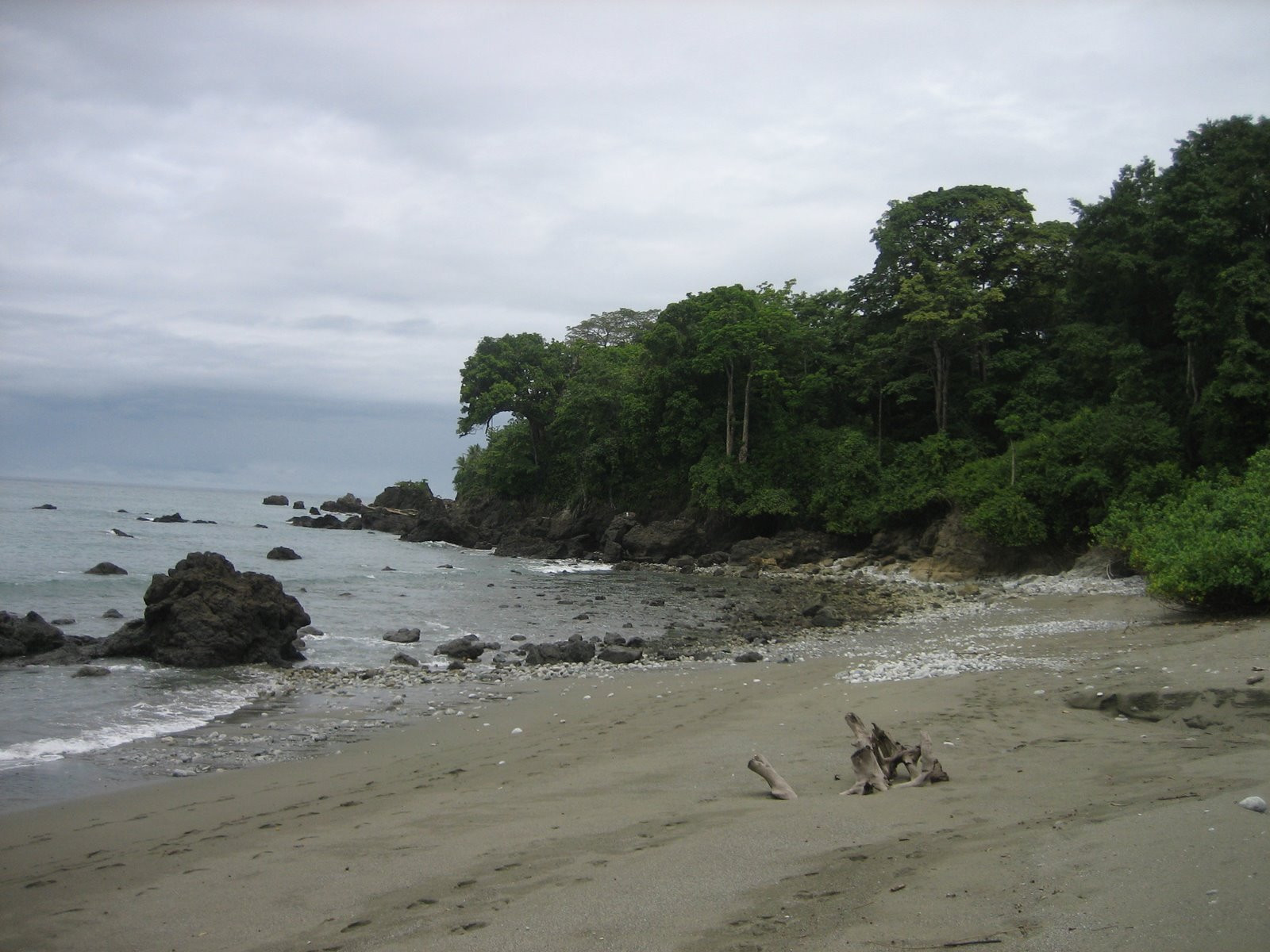 Корковадо Национальный Парк, Пунтаренас провинция, Коста-Рика, фото № 40530 – фотографии Коста-Рики