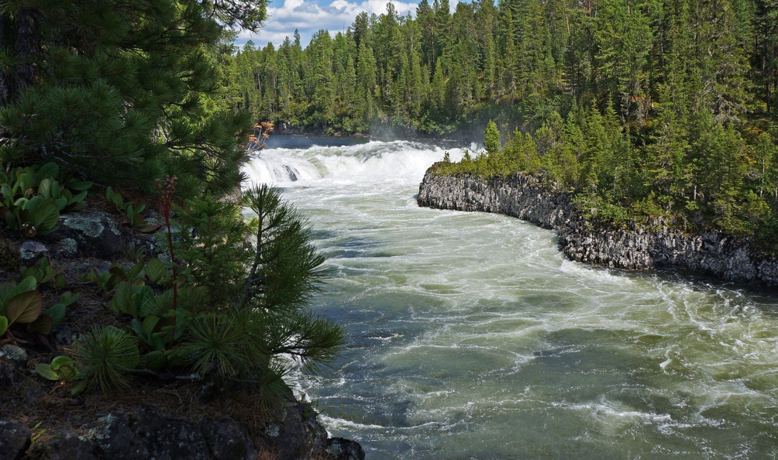 Река Хамсара или Хам-Сыра, республика Тыва – фотографии России