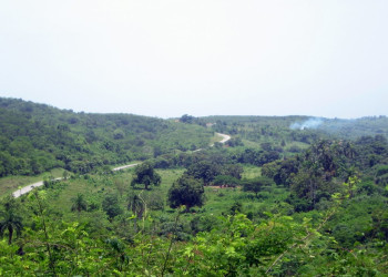 Природа в Тринидаде, Куба. Фото 4 – фотографии Кубы