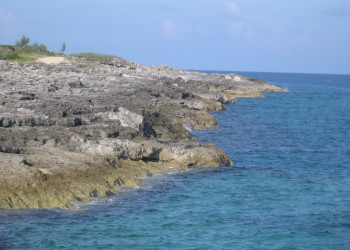 Скала на острове Берри  Айлендс, Багамские острова. Фото 5 – фотографии Багамских островов