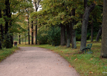 Парк в Павловске, Россия. Фото 10 – фотографии России