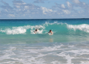 Море на Южном побережье, Барбадос. Фото 16 – фотографии Барбадоса