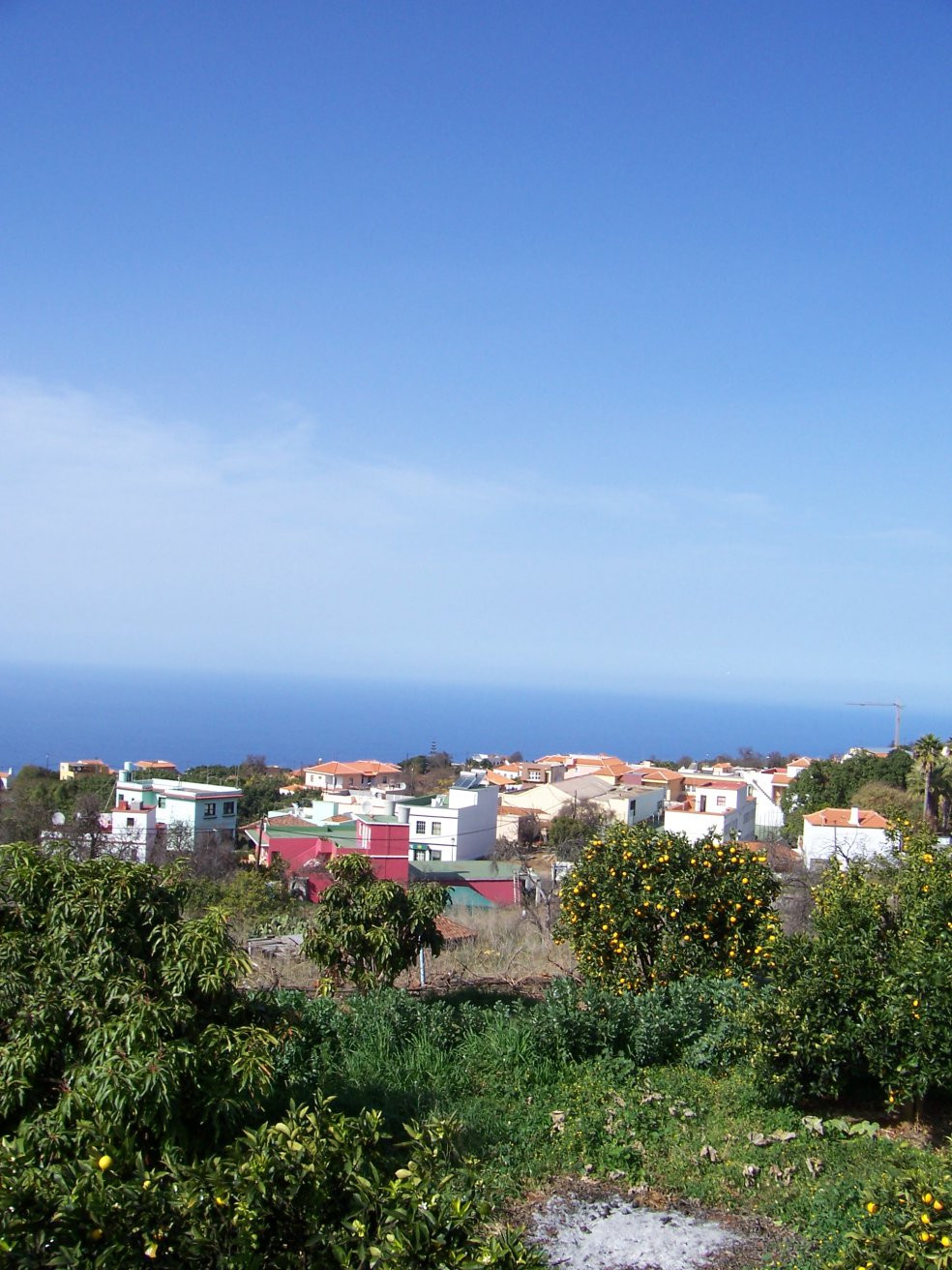 Пунтагорда, Ла-Пальма остров, Канарские острова, фото № 31982 – фотографии Канарских островов