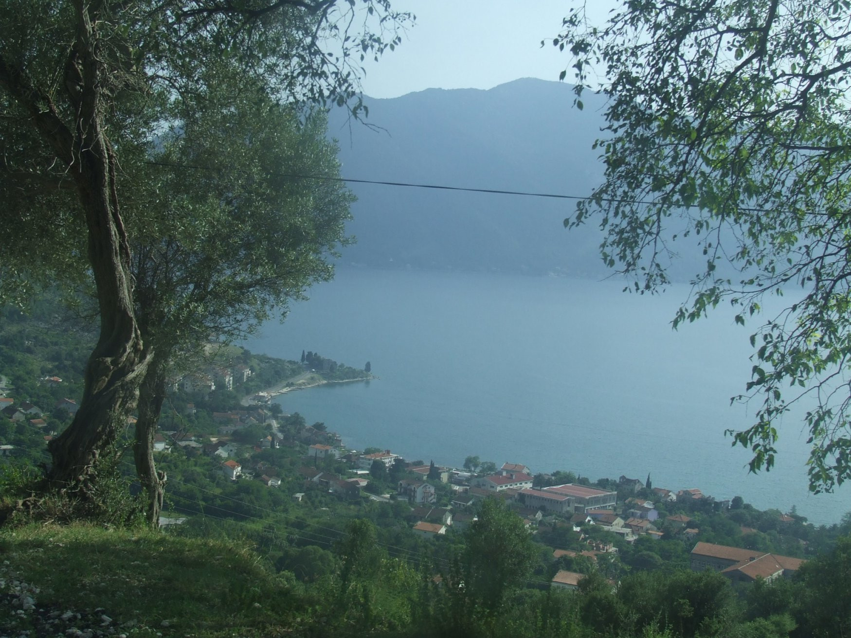 Панорамный вид в Рисан, Черногория. Фото 3 – фотографии Черногории