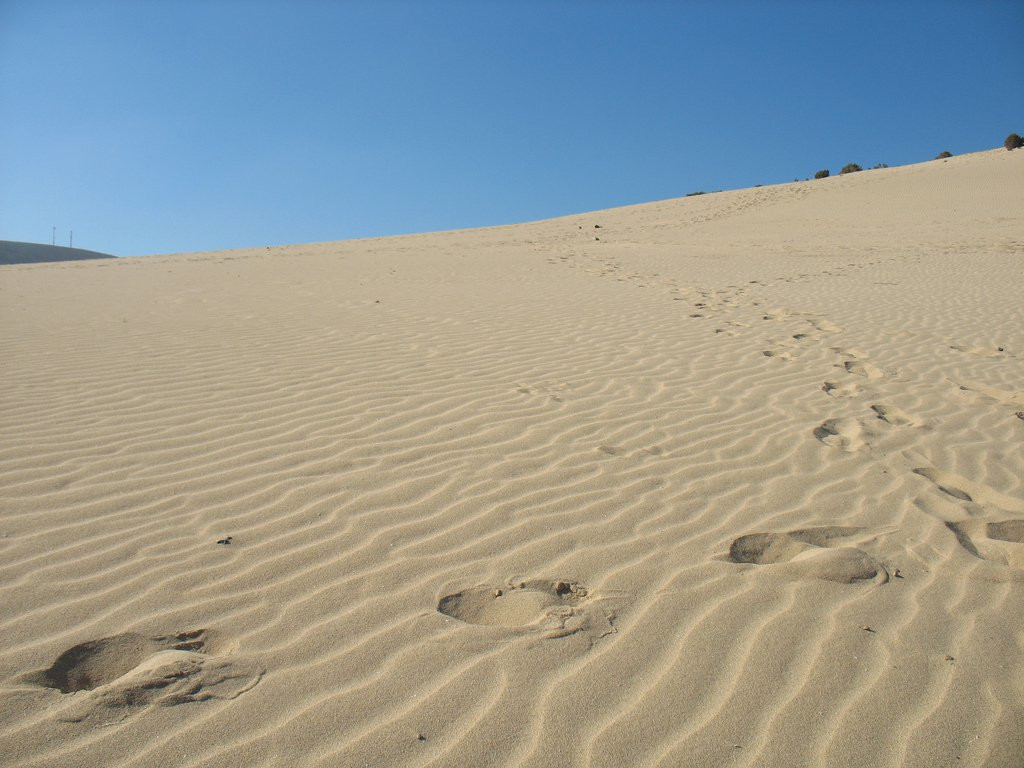 Коста-Кальма, Хандия полуостров, Фуэртевентура остров, Канарские острова, фото № 34277 – фотографии Канарских островов