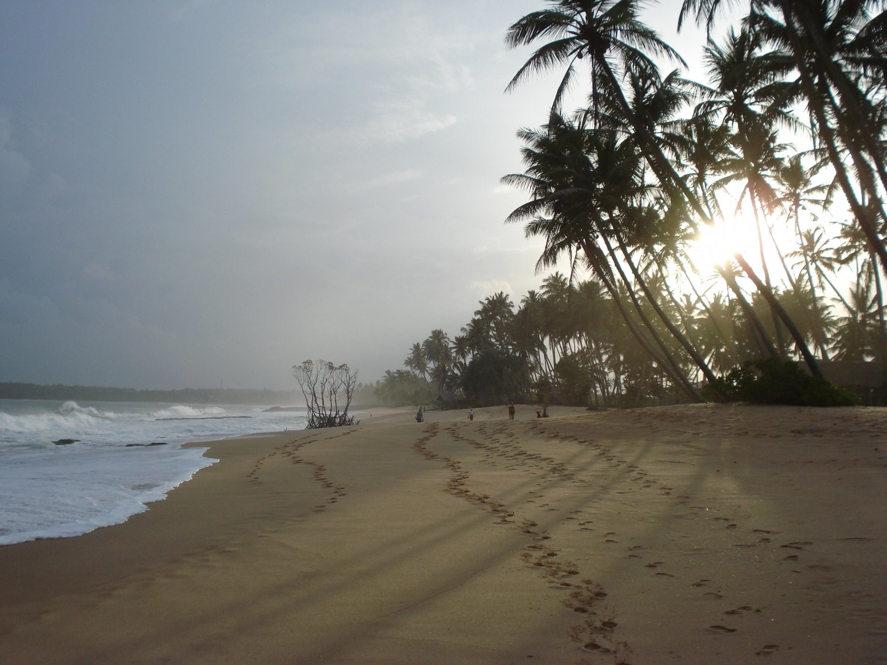Тангалле, Шри-Ланка, фото № 52377 – фотографии Шри-Ланки