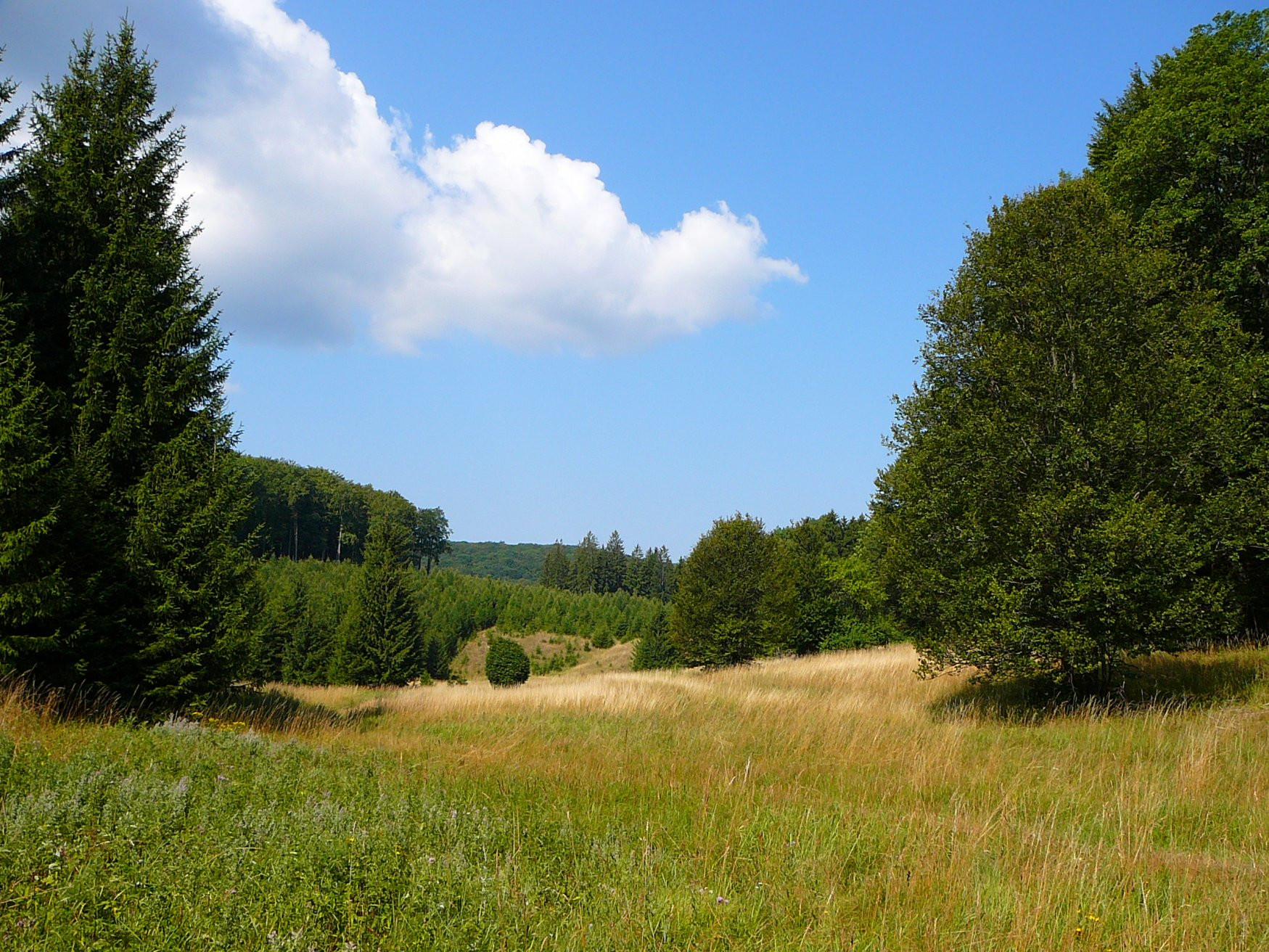 Бюкк Национальный Парк, Венгрия, фото № 70072 – фотографии Венгрии