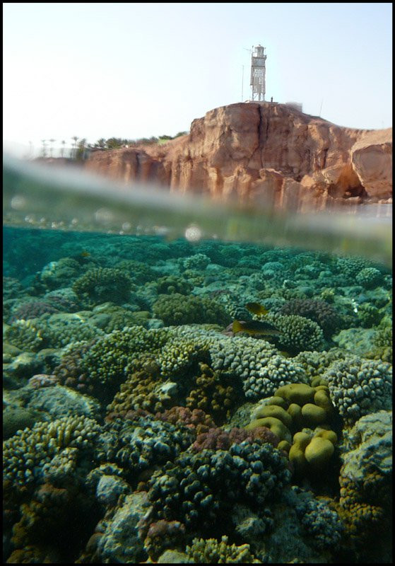 Шарм-эль-Шейх, Египет, фото № 35704 – фотографии Египта