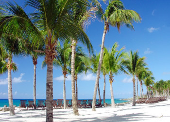 Плайя-дель-Кармен, Ривьера-Майя, Мексика, фото № 43935 – фотографии Мексики