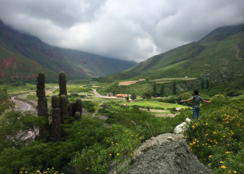 Зеленые холмы. Сальта. Аргентина. – фотографии Аргентины