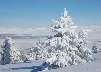 Сарыкамыш, Восточная Анатолия регион, Турция, фото № 46514 – фотографии Турции
