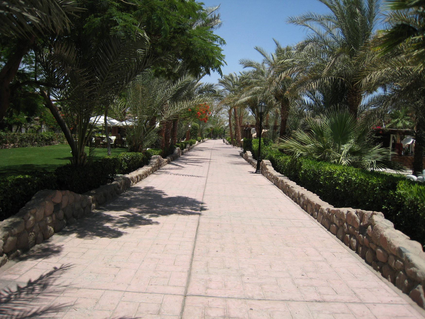 Шарм-эль-Шейх, Египет, фото № 35760 – фотографии Египта