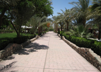 Шарм-эль-Шейх, Египет, фото № 35760 – фотографии Египта