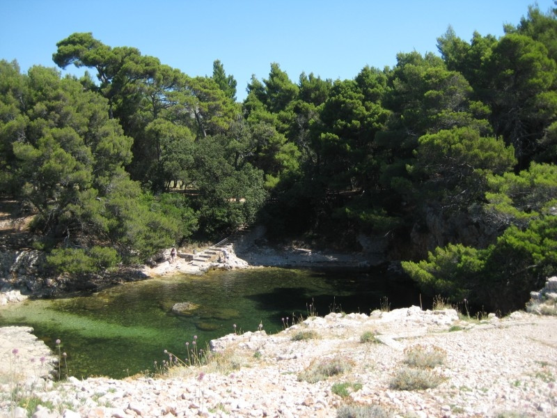 Природа на острове Локрум, Хорватия. Фото 4 – фотографии Хорватии