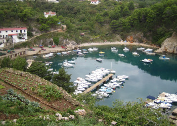 Яхты и катера в Врбник, Хорватия – фотографии Хорватии