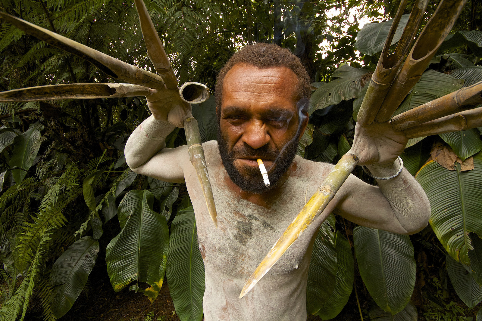 Настоящая экзотика — Папуа-Новая Гвинея. Фото 1 – фотографии Папуа — Новой Гвинеи