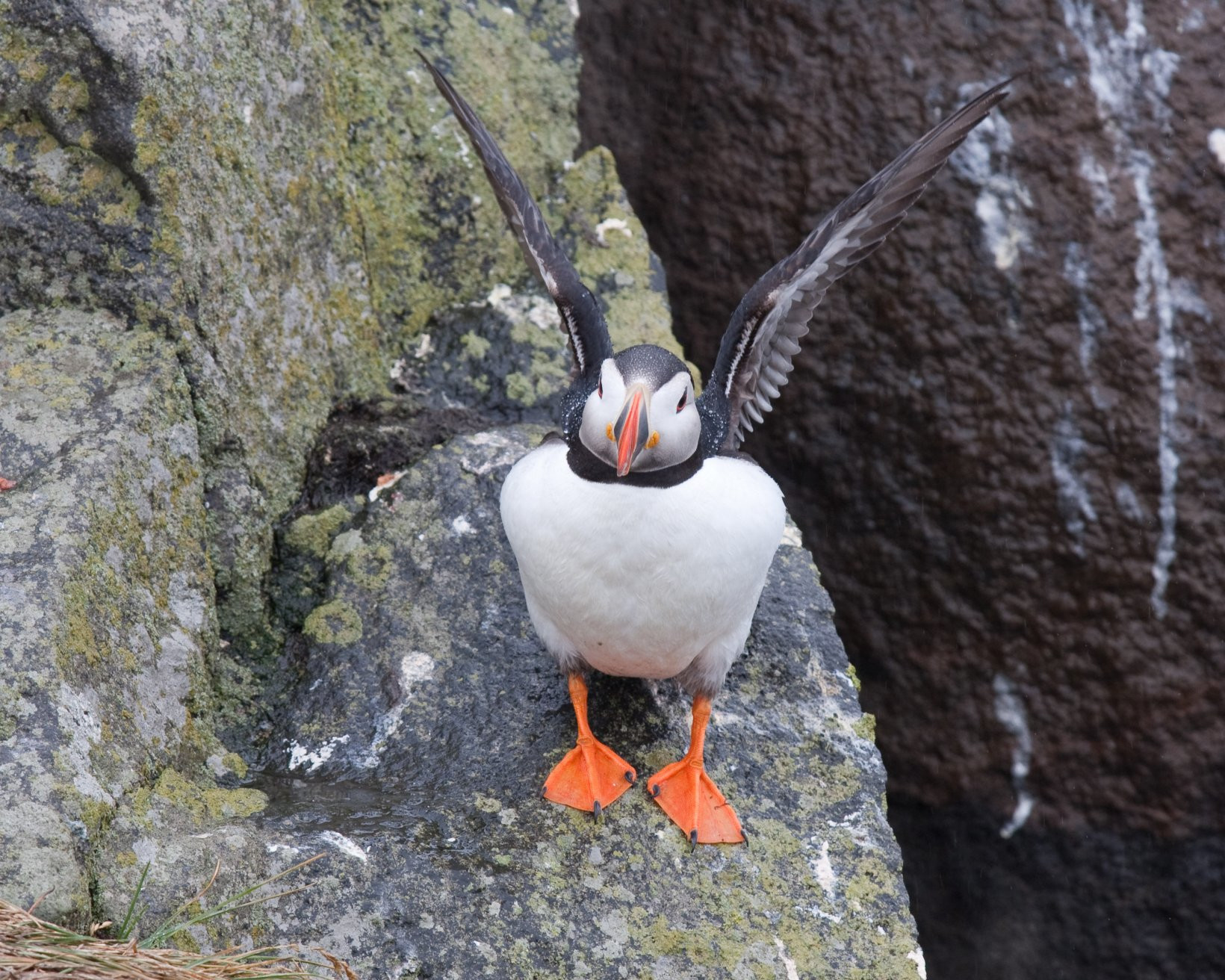 Исландия, фото № 4431 – фотографии Исландии