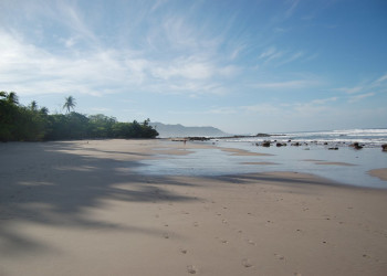 Плайя Санта Тереса, Пунтаренас провинция, Коста-Рика, фото № 40955 – фотографии Коста-Рики