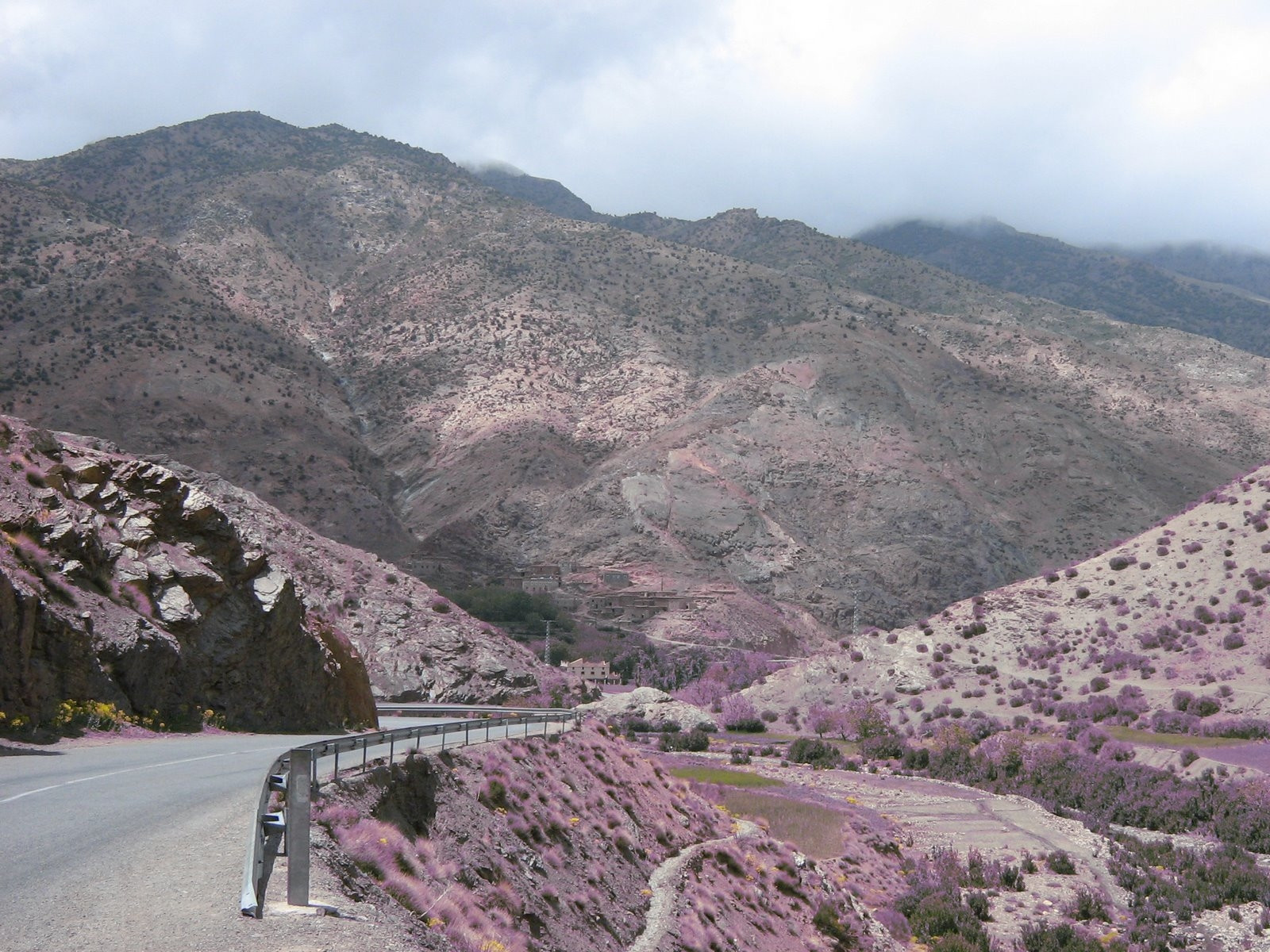 Загора, Марокко, фото № 7444 – фотографии Марокко