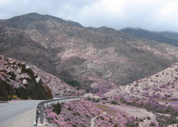 Загора, Марокко, фото № 7444 – фотографии Марокко