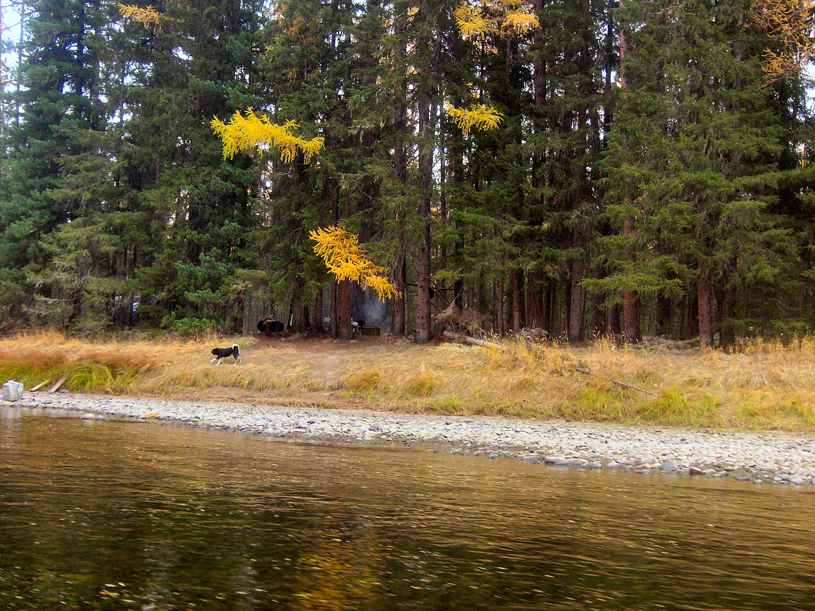 Хамсара, река в республике Тыва. Фото 1 – фотографии России