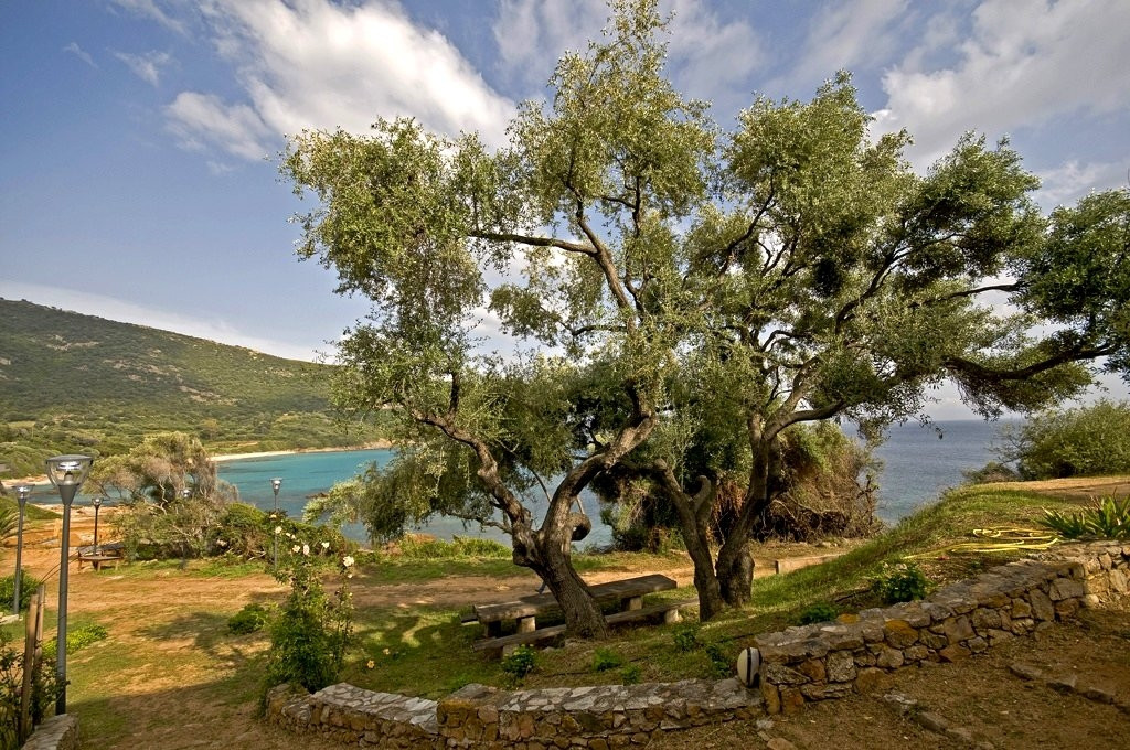 Берега в Каржезе, Франция – фотографии Франции