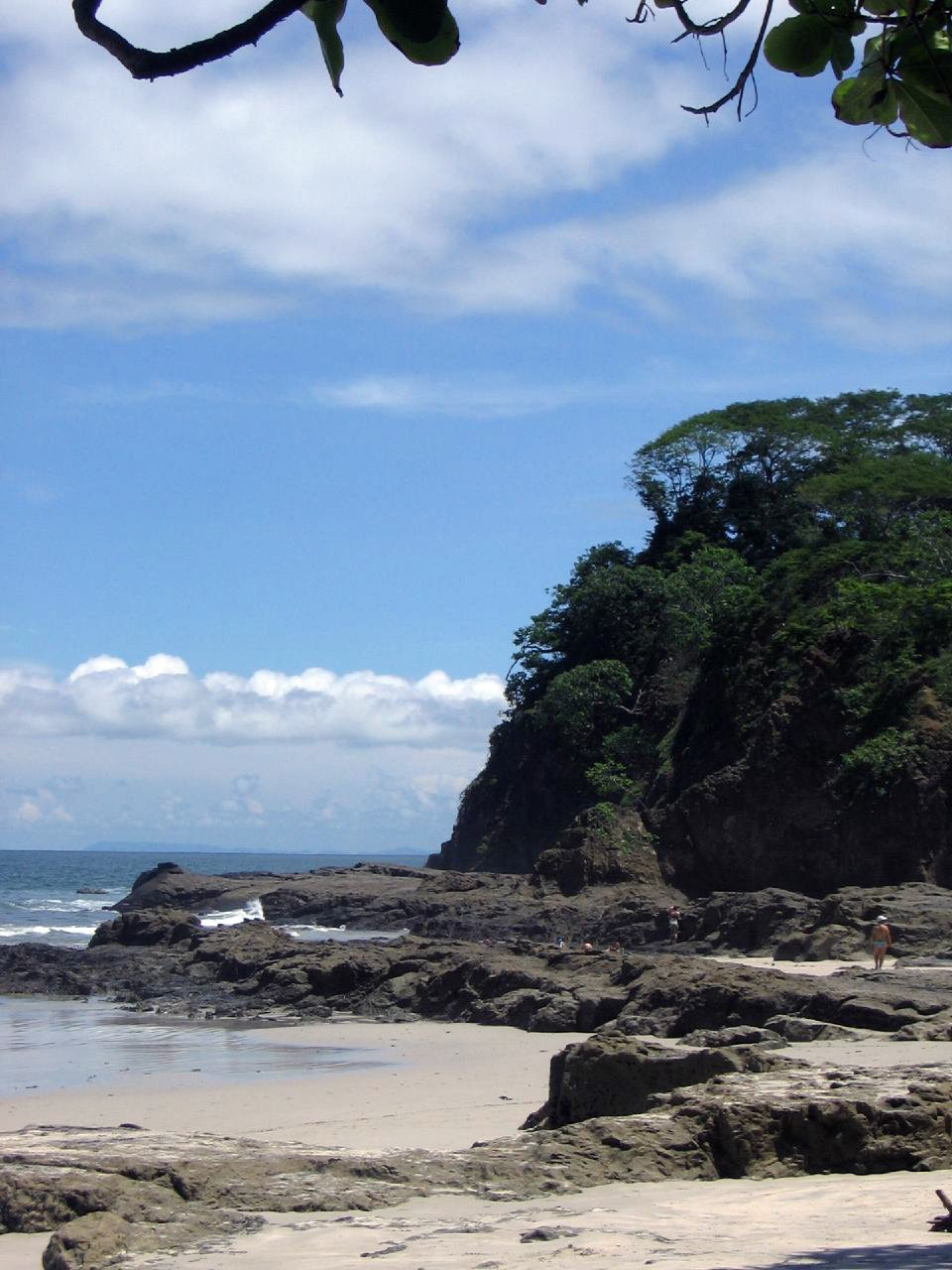 Пунта Леона, Пунтаренас провинция, Коста-Рика, фото № 41025 – фотографии Коста-Рики