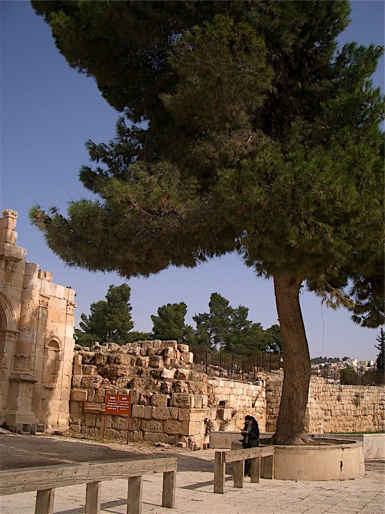 Джераш, Иордания, фото № 36737 – фотографии Иордании