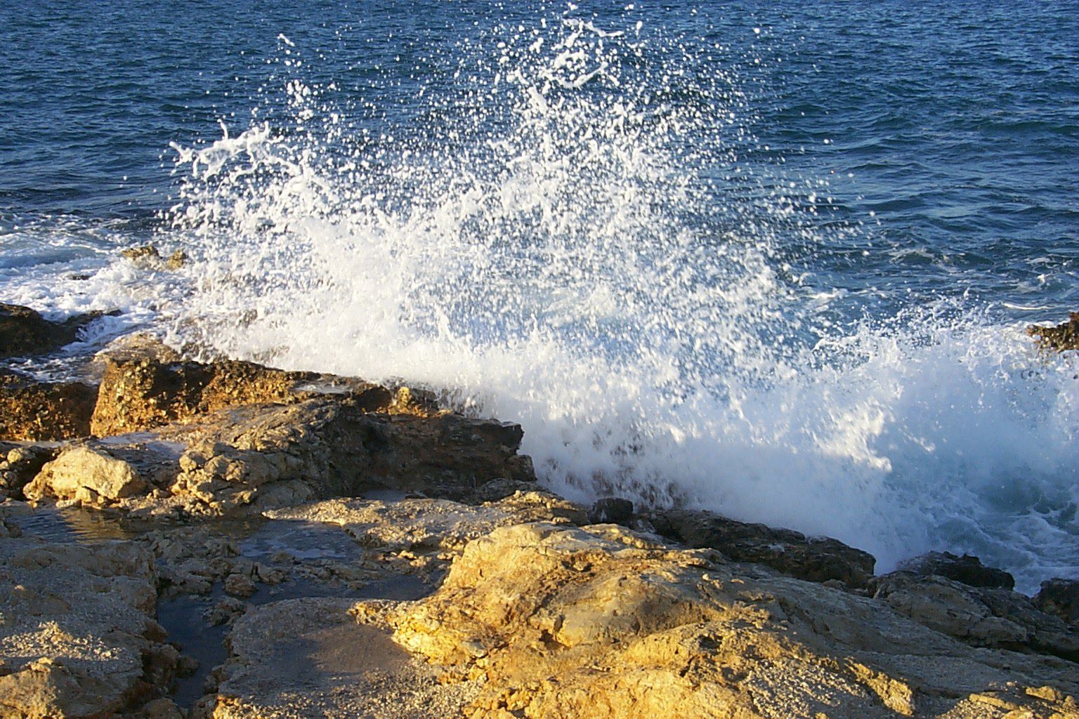 Сент-Полс-Бэй, Мальта остров, Мальта, фото № 42913 – фотографии Мальты