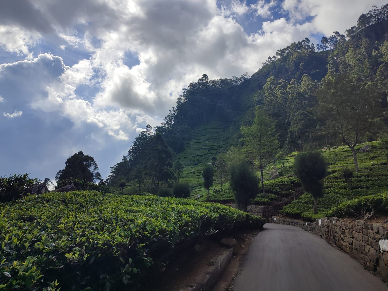 Сигирмя – фотографии Шри-Ланки