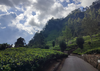 Сигирмя – фотографии Шри-Ланки