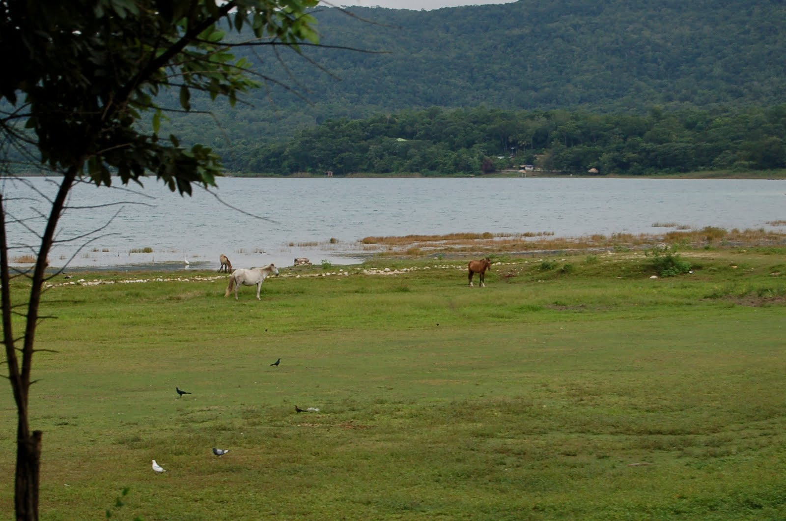 Guatemala – фотографии Гватемалы