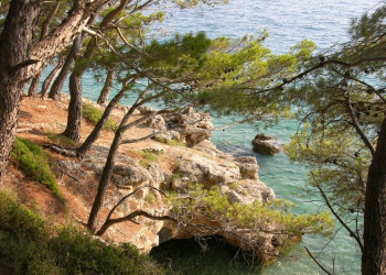 Берег в Брела, Хорватия. Фото 1 – фотографии Хорватии