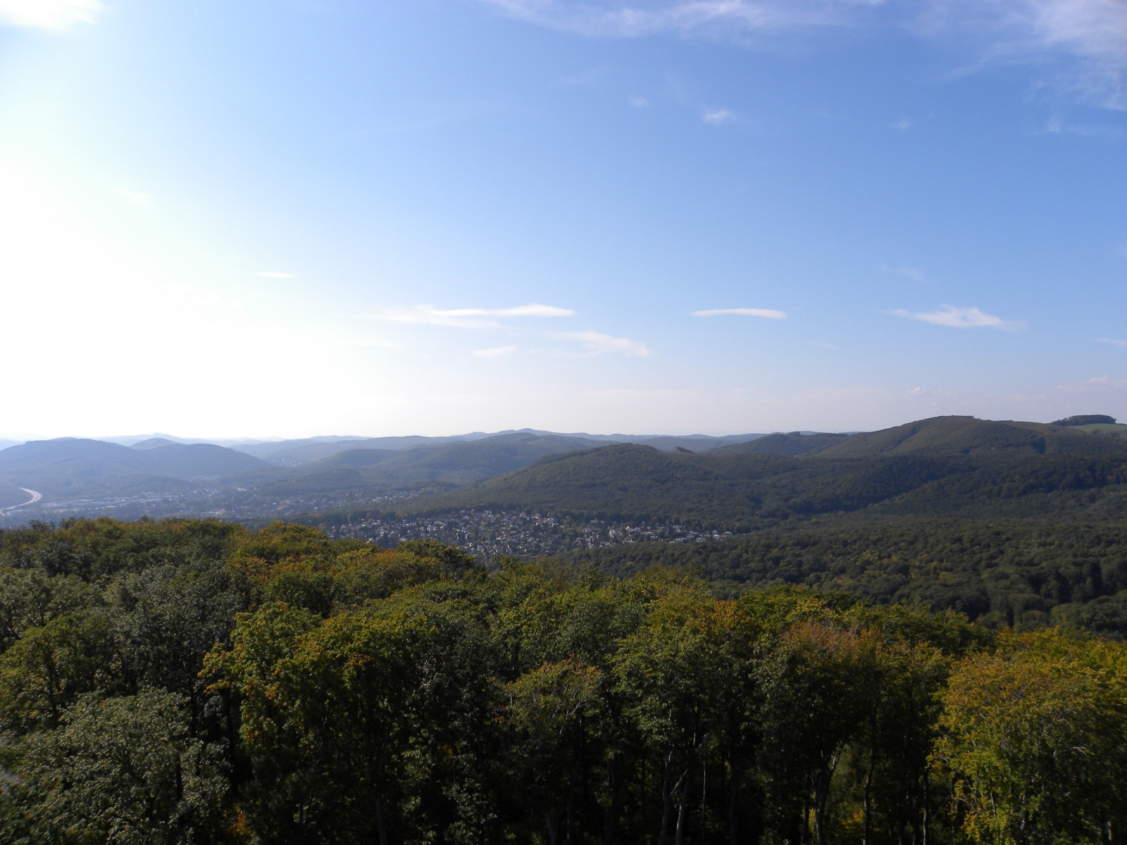 Венский лес - его называют «зелёными лёгкими» Вены – фотографии Австрии