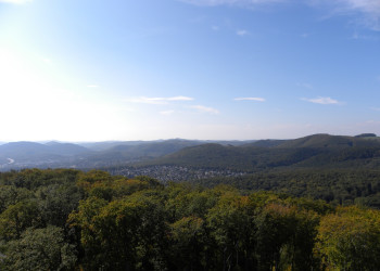 Венский лес - его называют «зелёными лёгкими» Вены – фотографии Австрии